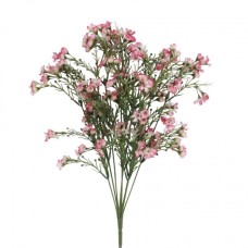 WAX FLOWER 5 STEMS